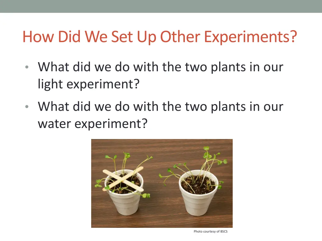 how did we set up other experiments