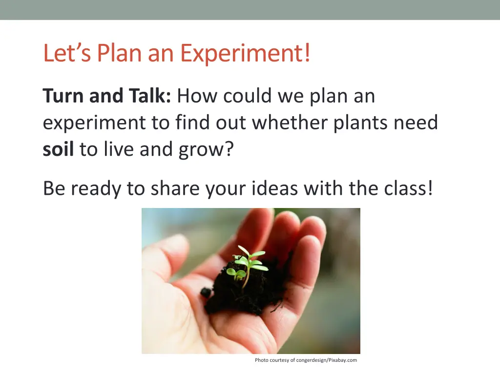 let s plan an experiment