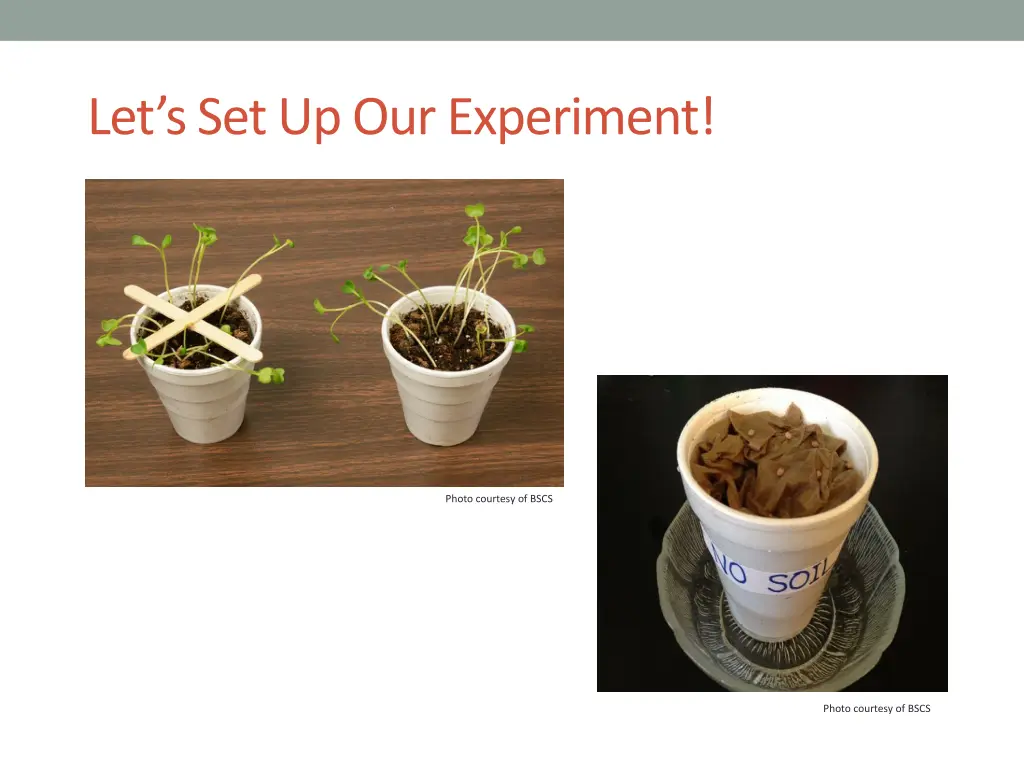 let s set up our experiment