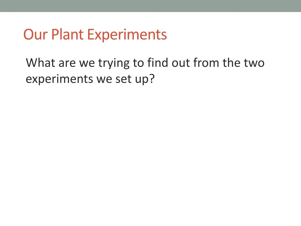 our plant experiments