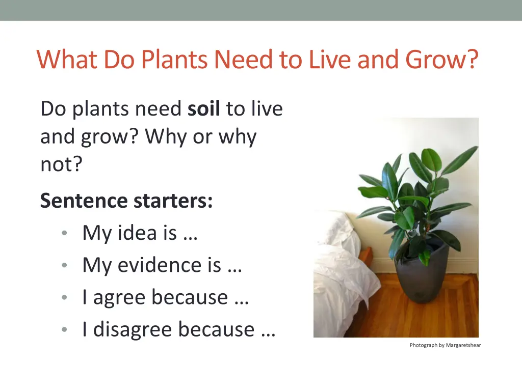 what do plants need to live and grow