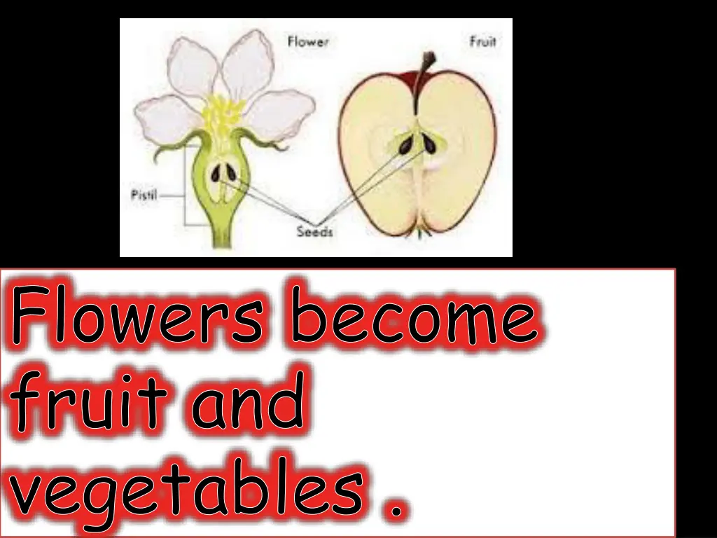 flowers become fruit and vegetables