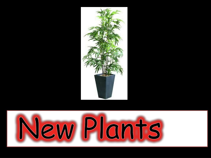 new plants