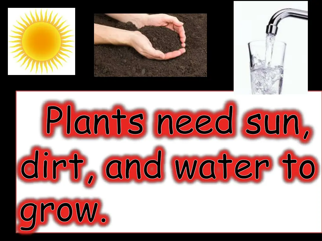 plants need sun dirt and water to grow