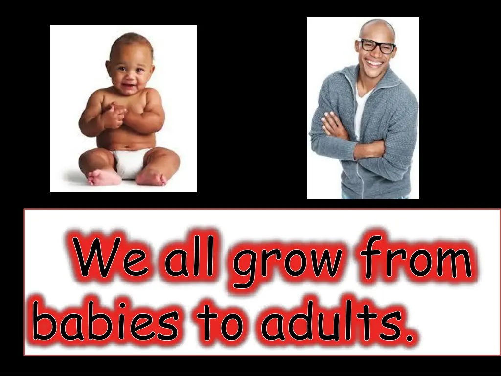 we all grow from babies to adults