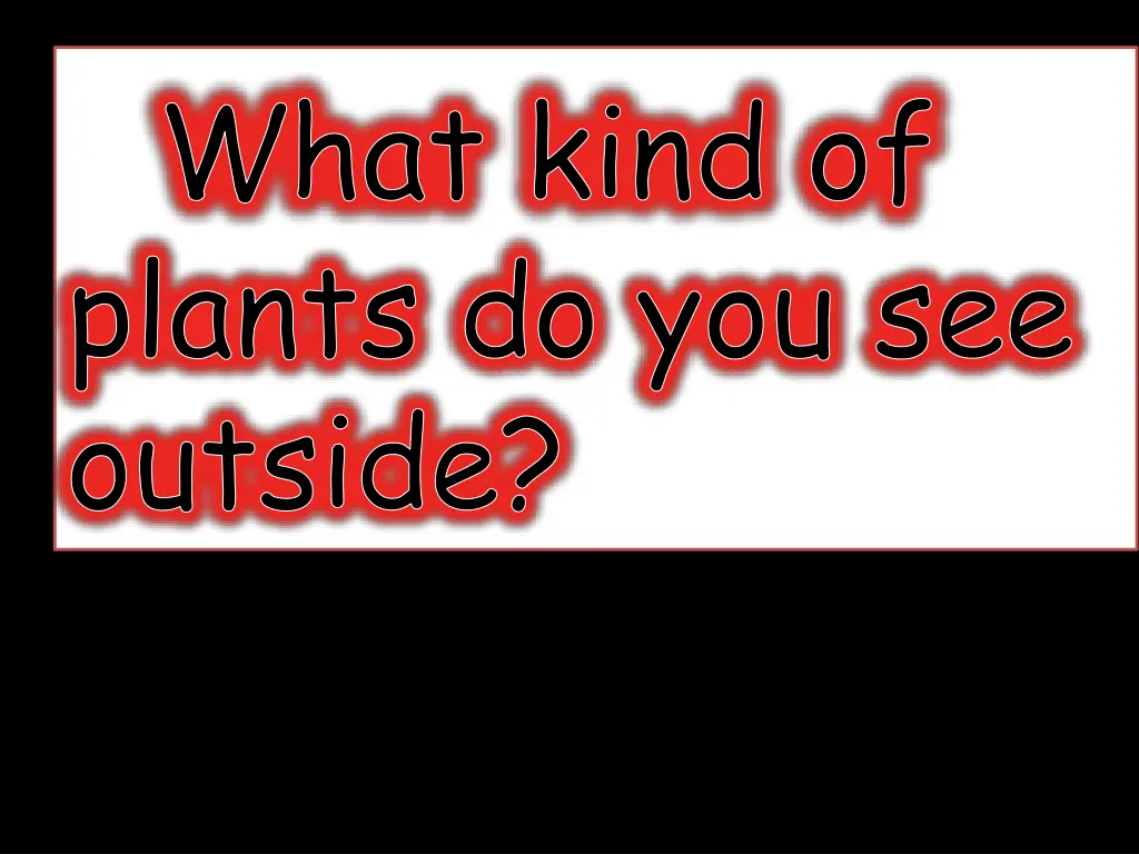 what kind of plants do you see outside