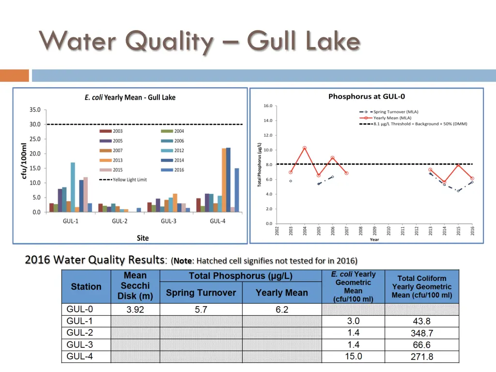 water quality gull lake