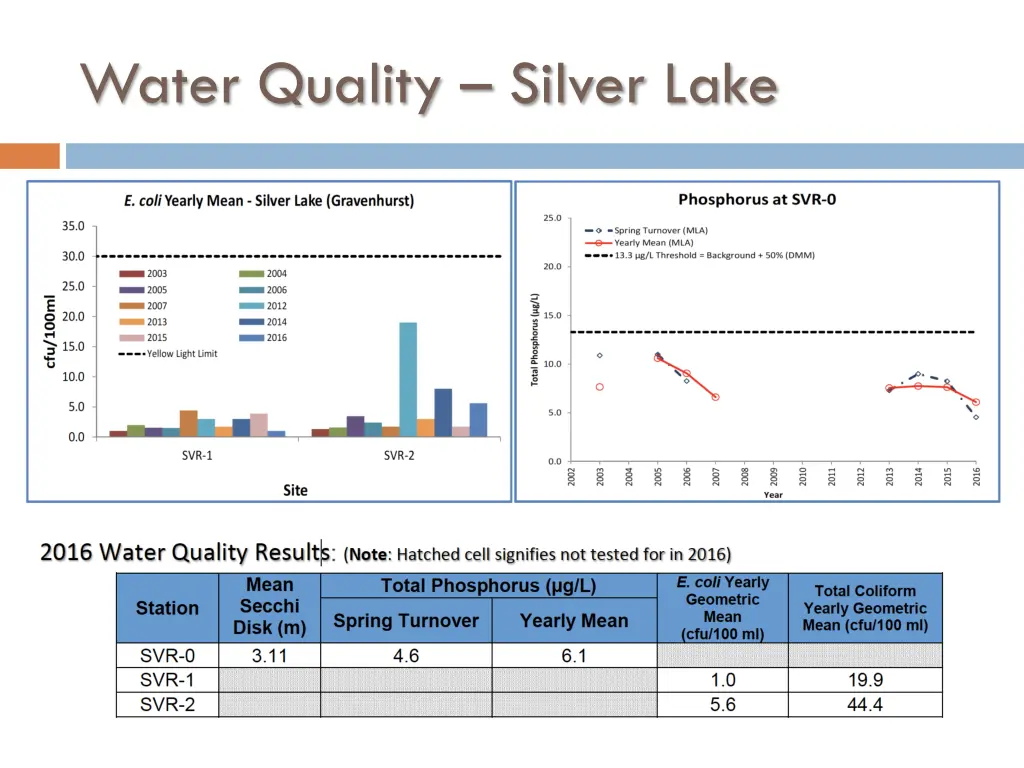 water quality silver lake