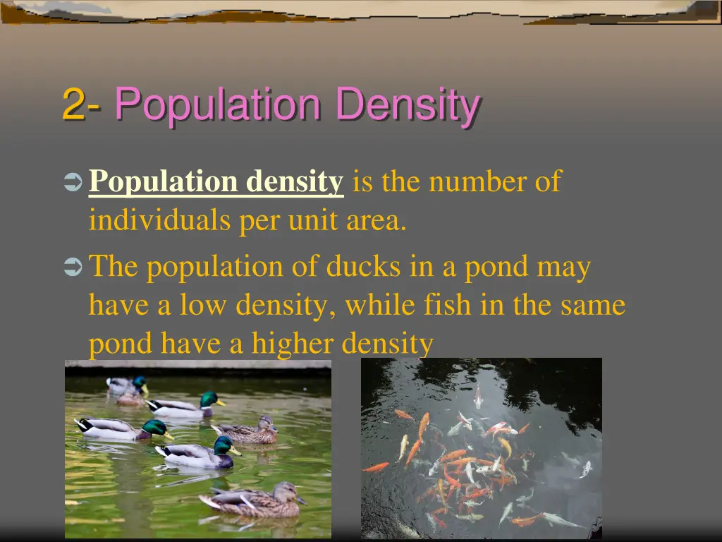 2 population density