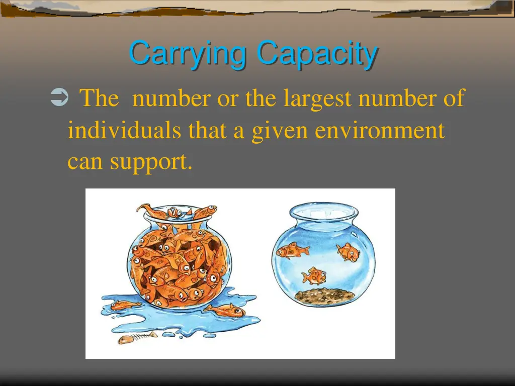 carrying capacity the number or the largest