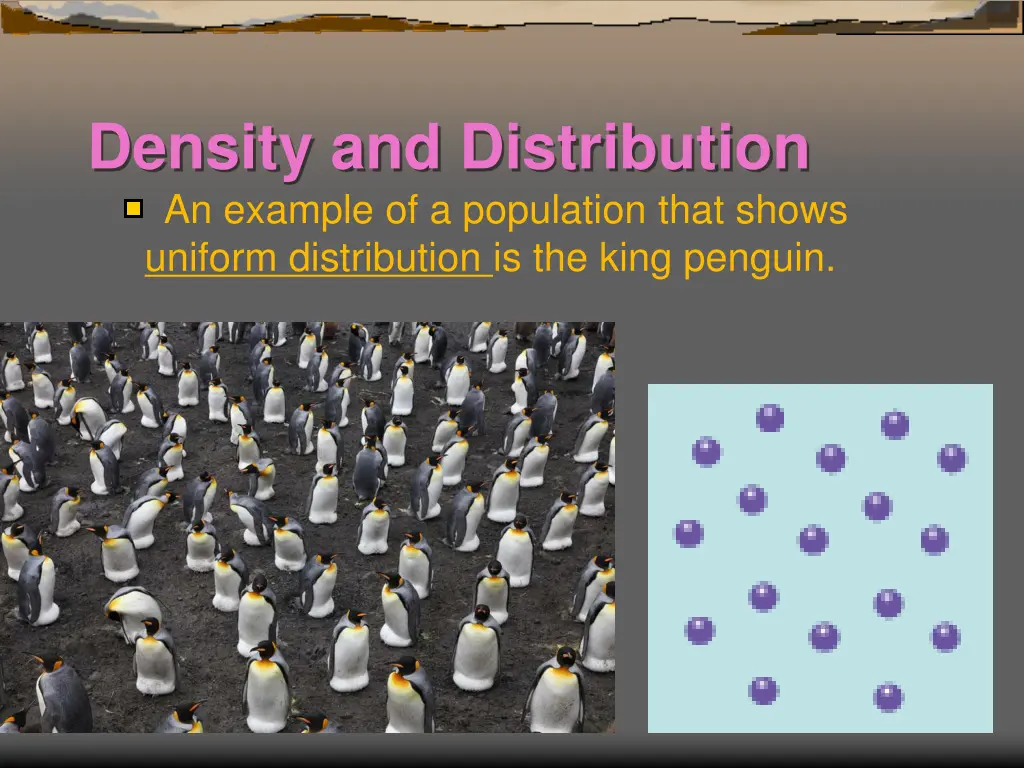 density and distribution an example 1