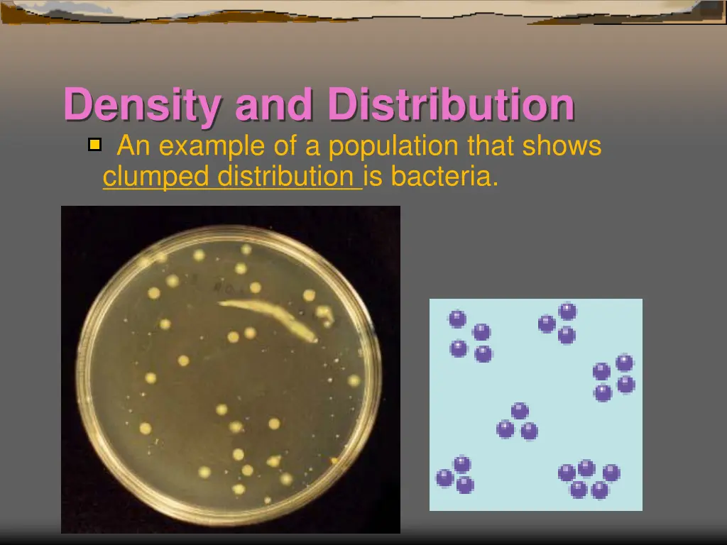 density and distribution an example 2