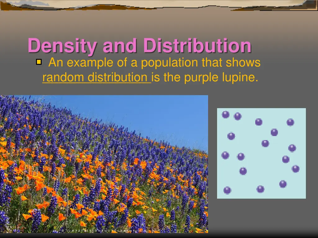 density and distribution an example