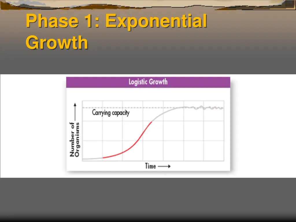 phase 1 exponential growth