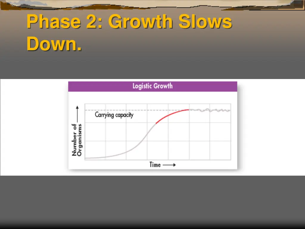 phase 2 growth slows down