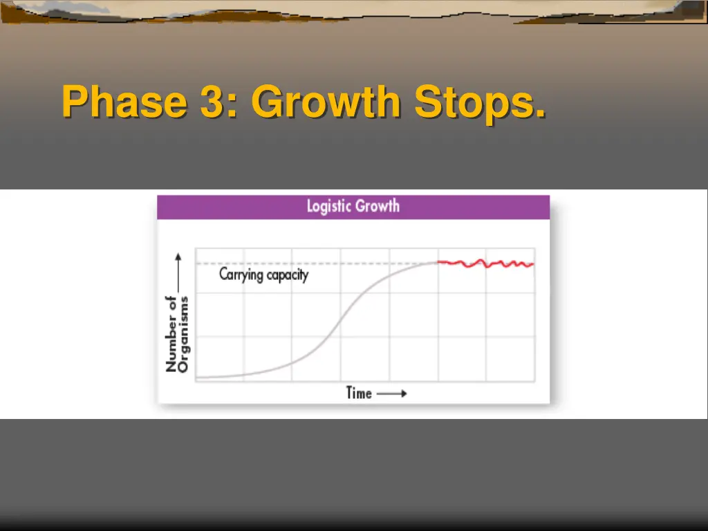 phase 3 growth stops