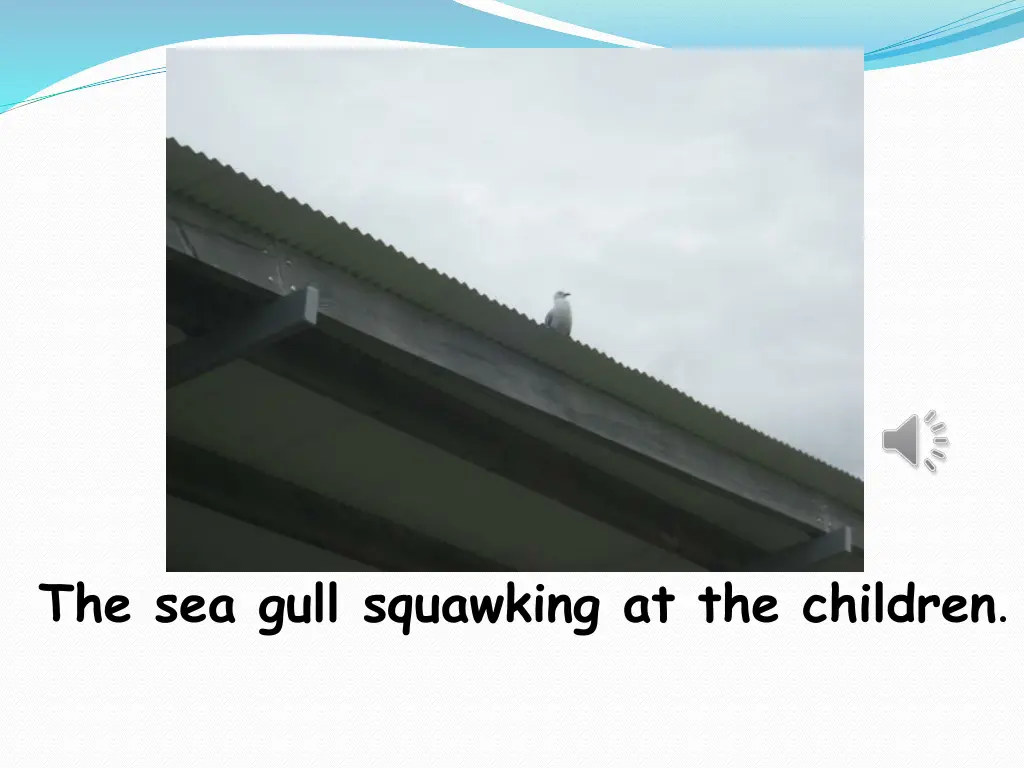 the sea gull squawking at the children