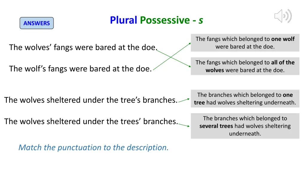 plural possessive s 1