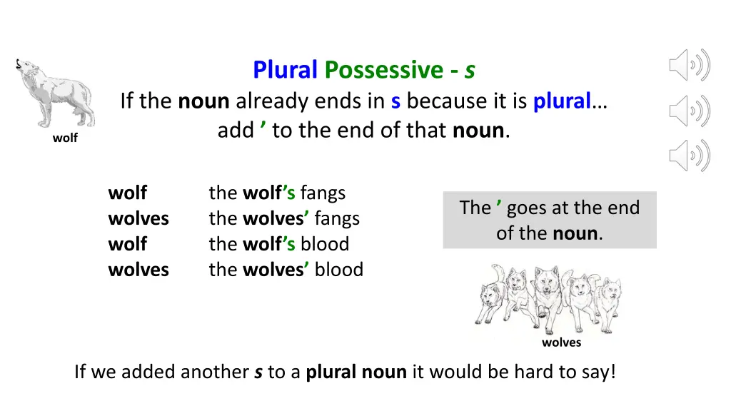 plural possessive s