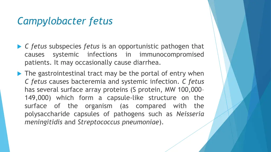 campylobacter fetus