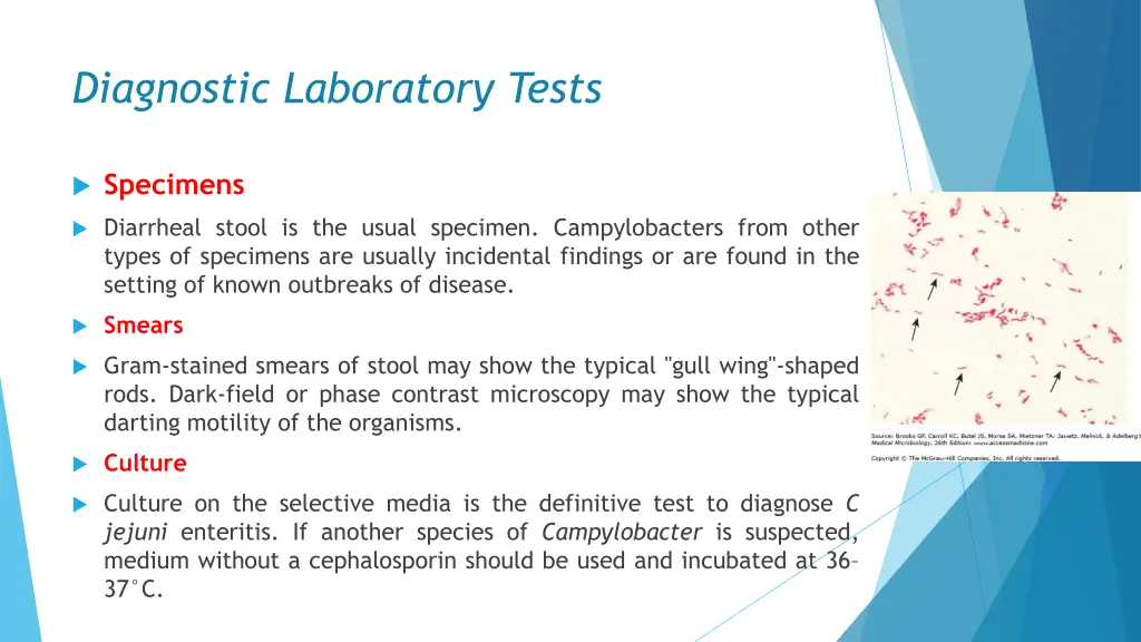 diagnostic laboratory tests 2