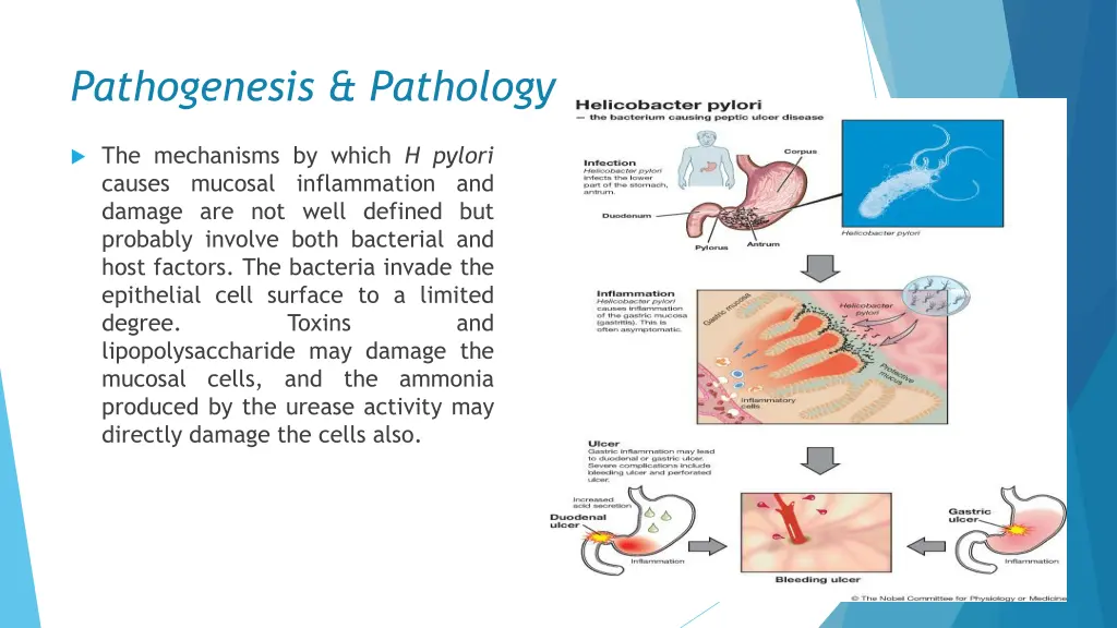 pathogenesis pathology 2