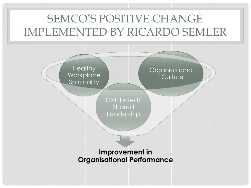 semco s positive change implemented by ricardo