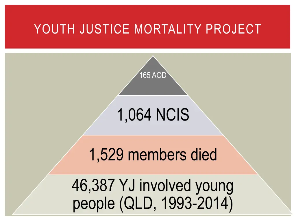 youth justice mortality project