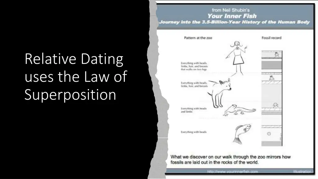 relative dating uses the law of superposition