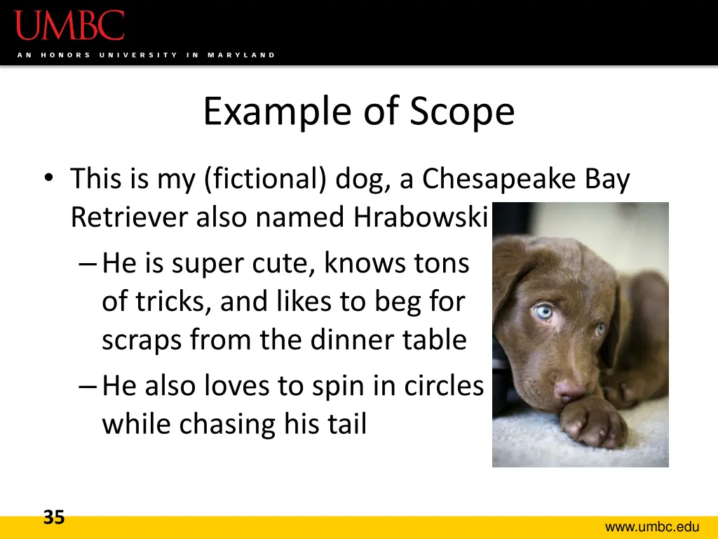 example of scope 1