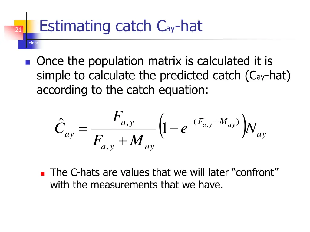 estimating catch c ay hat