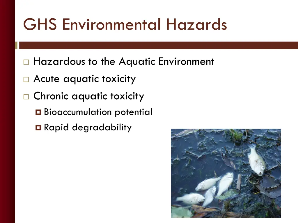 ghs environmental hazards