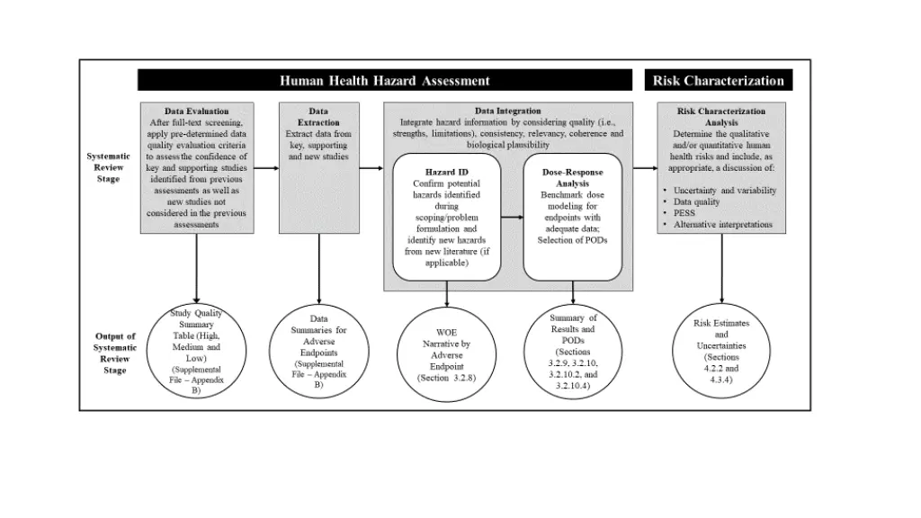 slide11