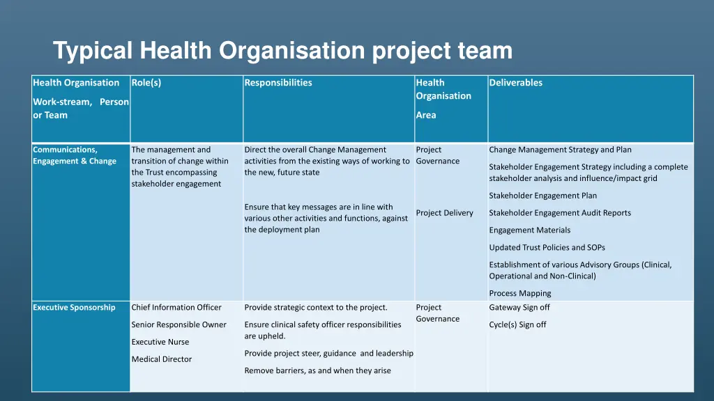 typical health organisation project team 2