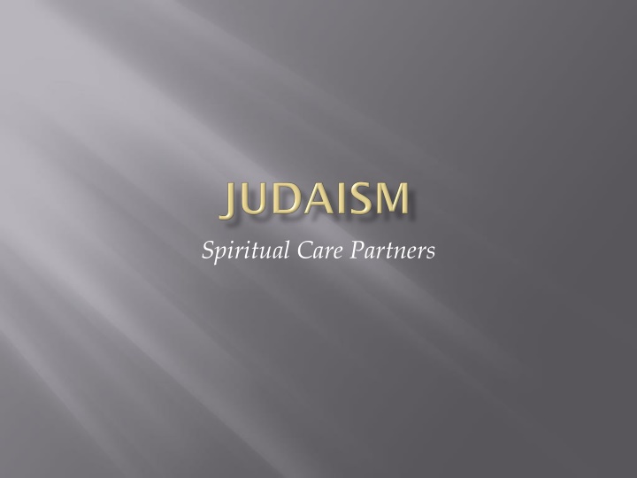 spiritual care partners