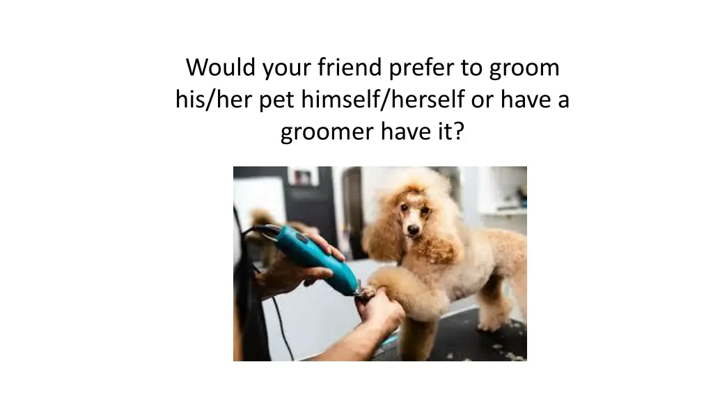 would your friend prefer to groom