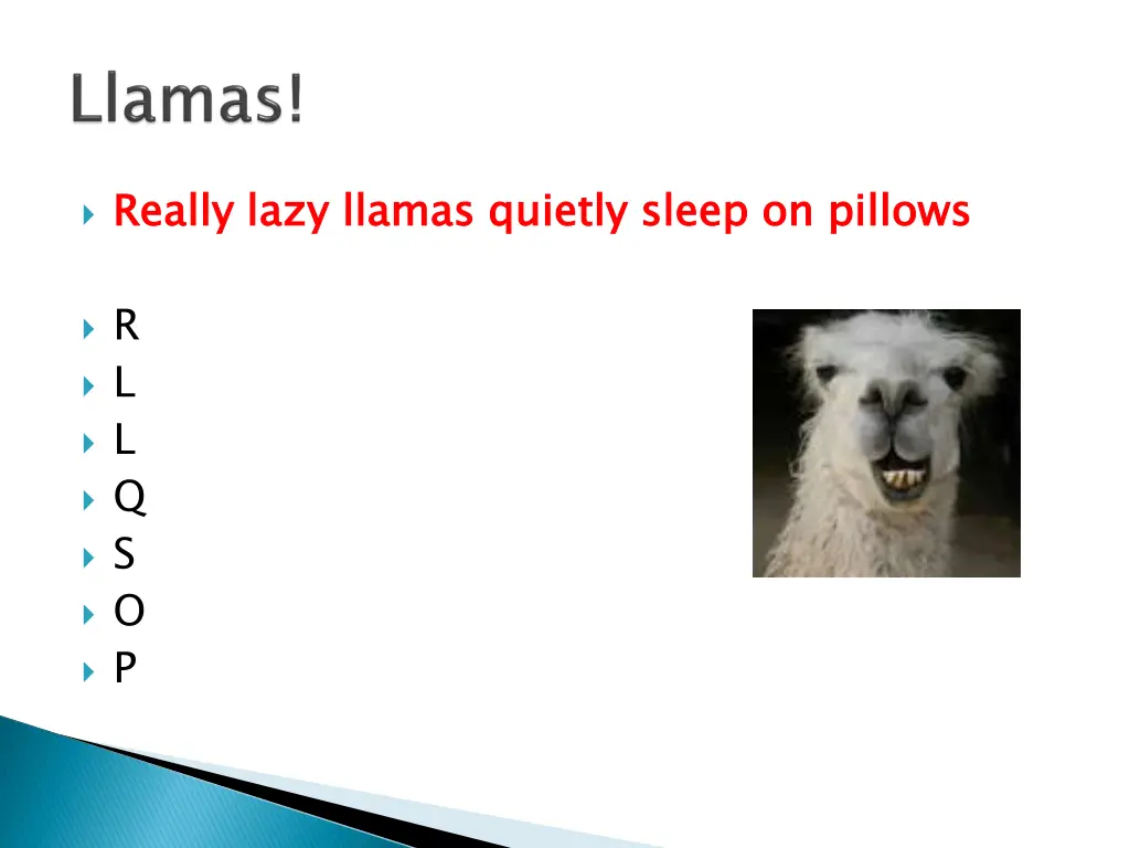 really lazy llamas quietly sleep on pillows