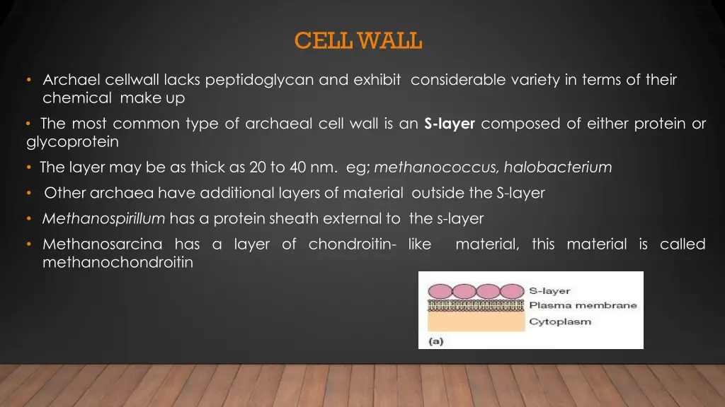 cell wall