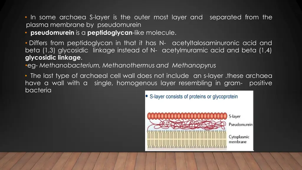 in some archaea s layer is the outer most layer