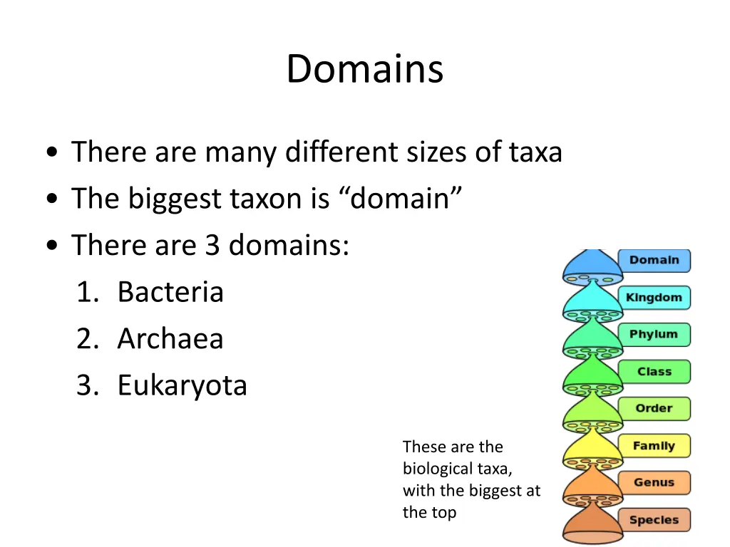 domains