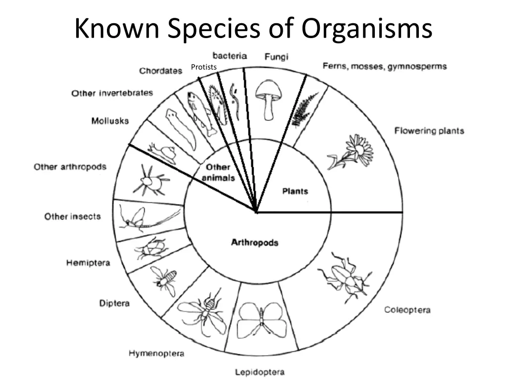 known species of organisms