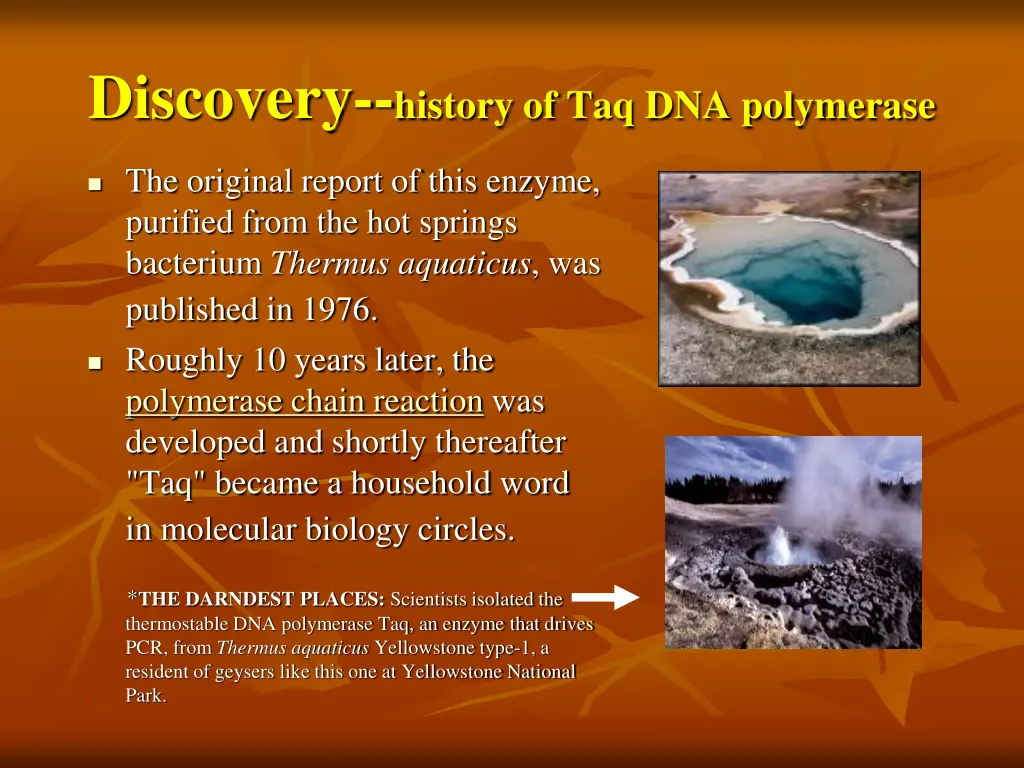 discovery history of taq dna polymerase