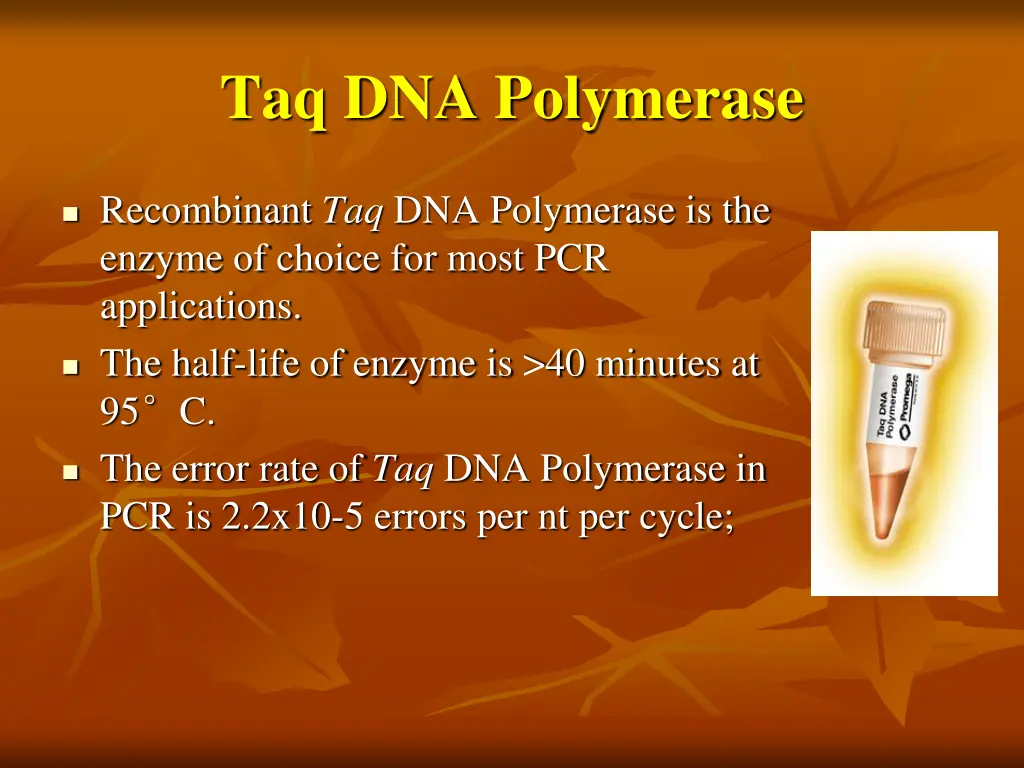 taq dna polymerase