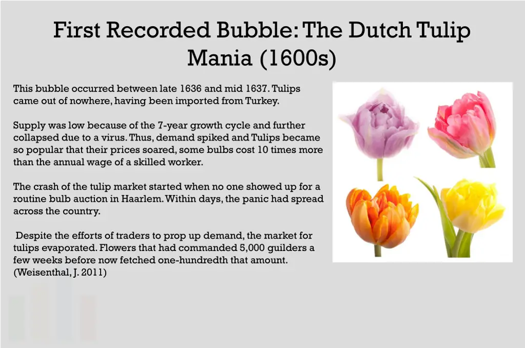 first recorded bubble the dutch tulip mania 1600s