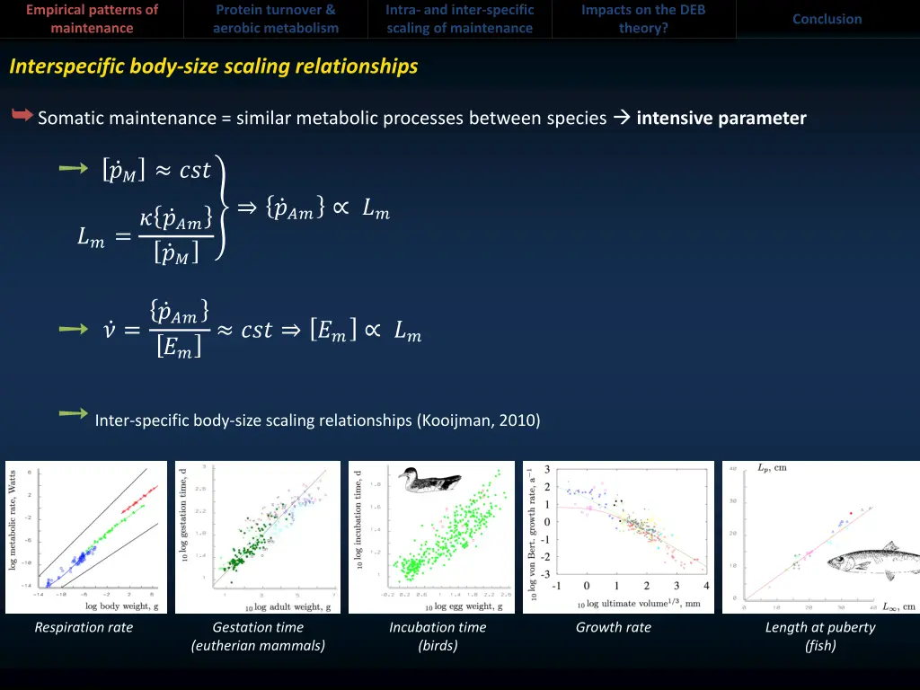 empirical patterns of maintenance 1