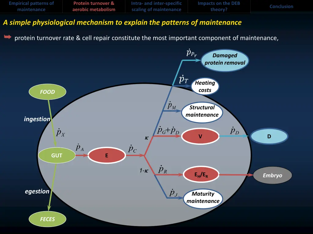 empirical patterns of maintenance 5