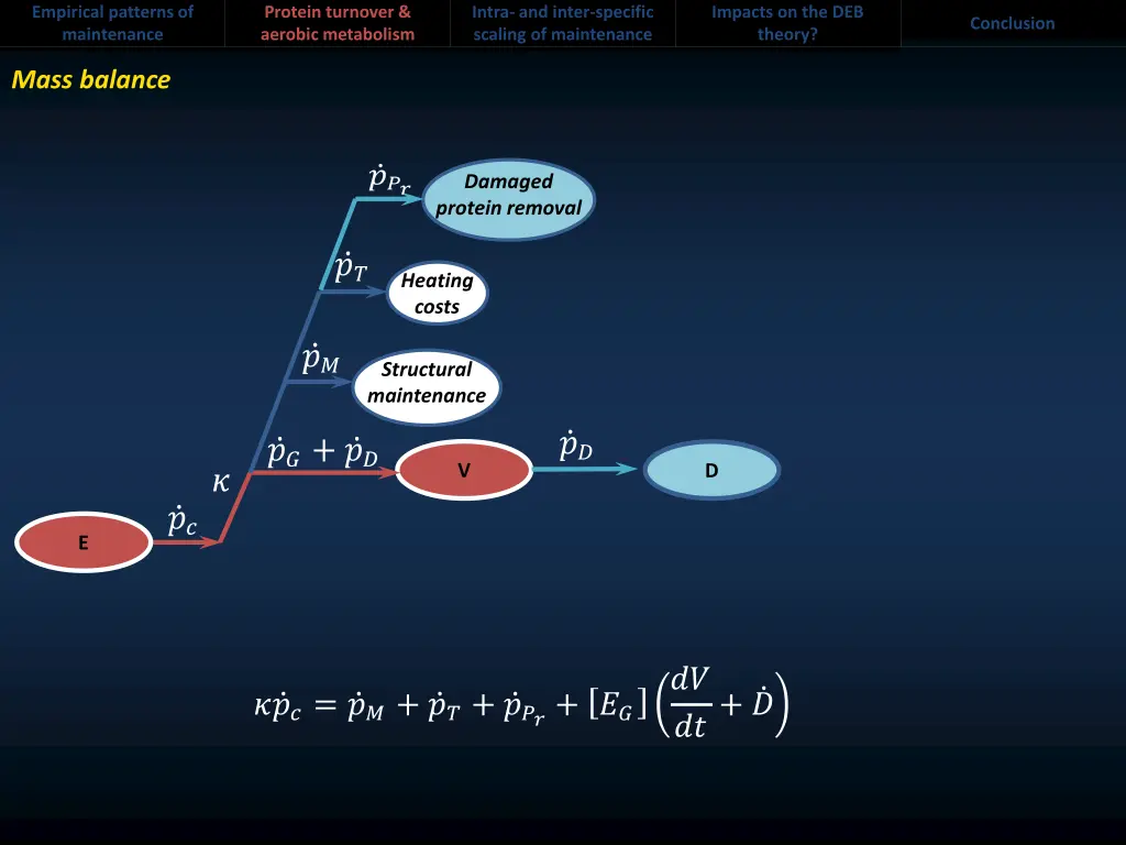 empirical patterns of maintenance 6