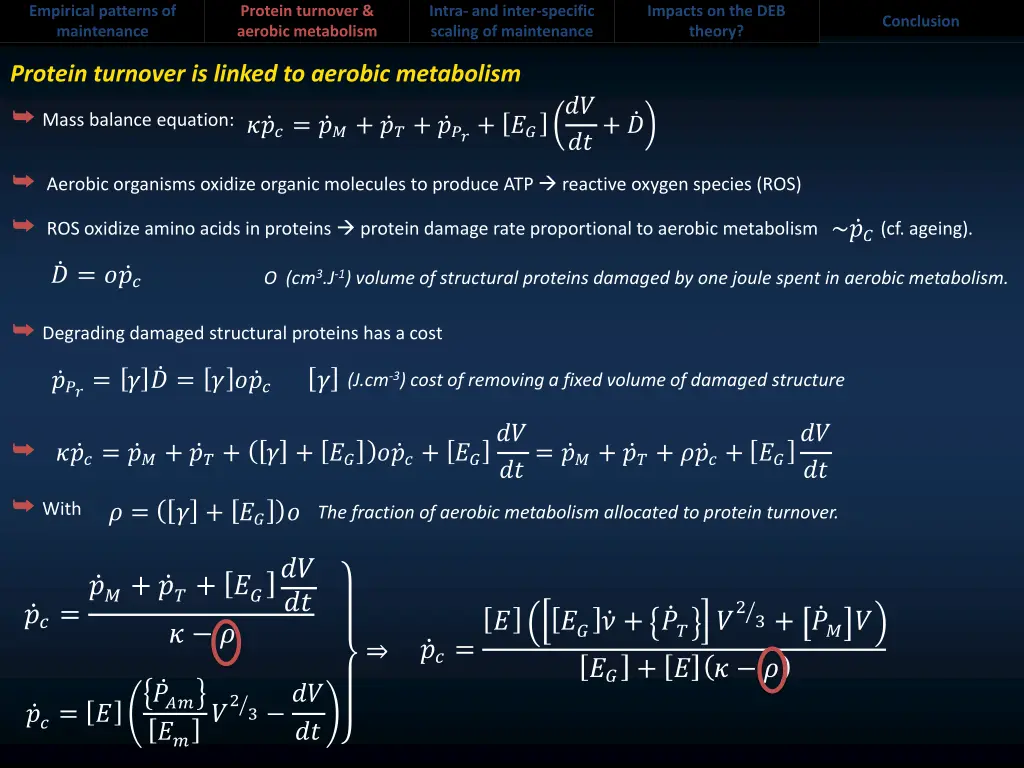 empirical patterns of maintenance 7