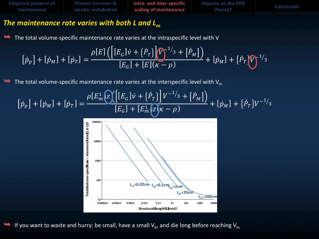 empirical patterns of maintenance 8