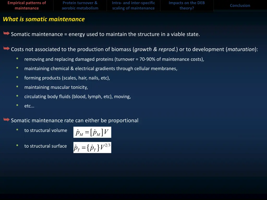 empirical patterns of maintenance